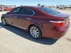 2008 Lexus LS 460