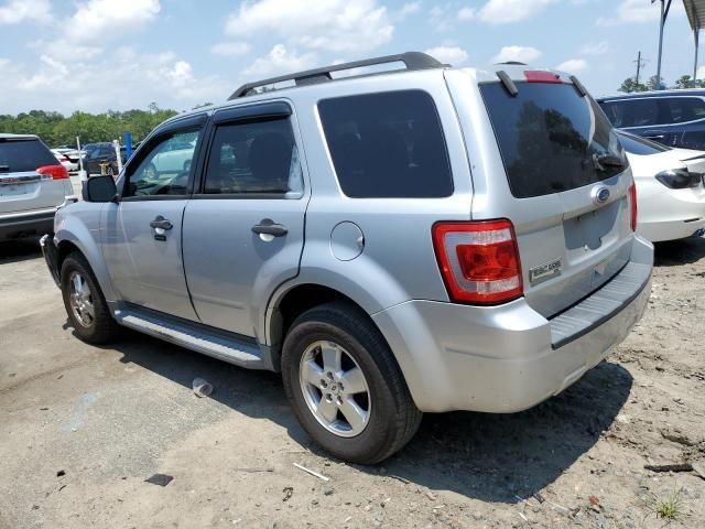 2010 Ford Escape XLT