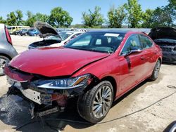 Salvage cars for sale at Bridgeton, MO auction: 2024 Lexus ES 350 Base