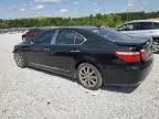 2007 Lexus LS 460