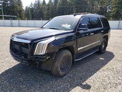 Cadillac Escalade Luxury salvage cars for sale: 2016 Cadillac Escalade Luxury