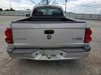 2009 Dodge Dakota SXT