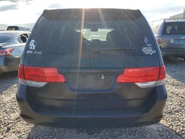 2008 Honda Odyssey EXL