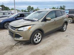 Salvage cars for sale at Pekin, IL auction: 2014 Ford Escape SE