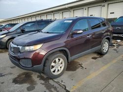 Salvage cars for sale at Louisville, KY auction: 2012 KIA Sorento Base