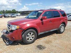 2011 Ford Escape Limited en venta en Tanner, AL