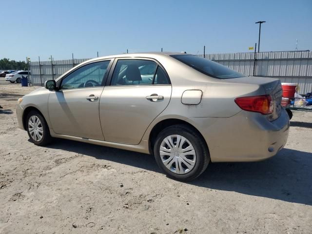 2009 Toyota Corolla Base