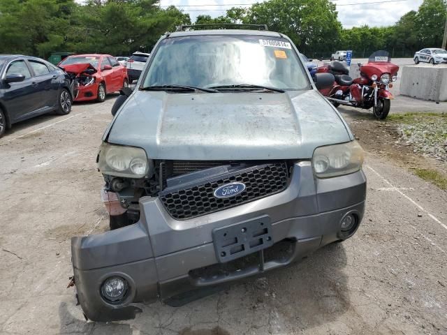 2006 Ford Escape XLT