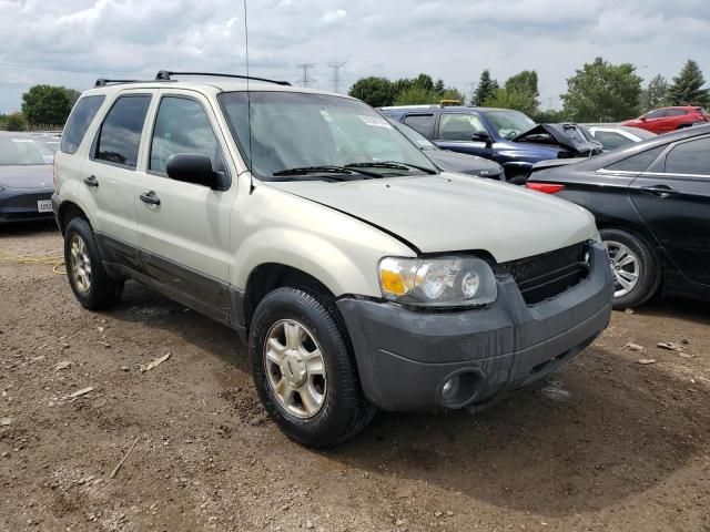 2005 Ford Escape XLT