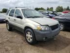 2005 Ford Escape XLT