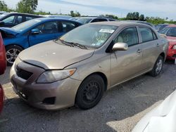 Salvage cars for sale at Bridgeton, MO auction: 2009 Toyota Corolla Base