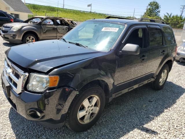 2012 Ford Escape XLT