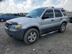 Salvage cars for sale at Fredericksburg, VA auction: 2005 Ford Escape XLT