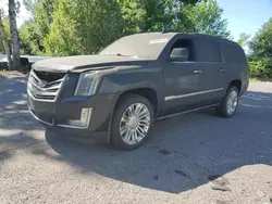 Cadillac salvage cars for sale: 2019 Cadillac Escalade ESV Platinum