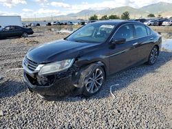 Honda salvage cars for sale: 2014 Honda Accord Sport