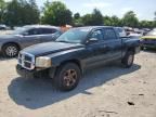 2005 Dodge Dakota Quad SLT