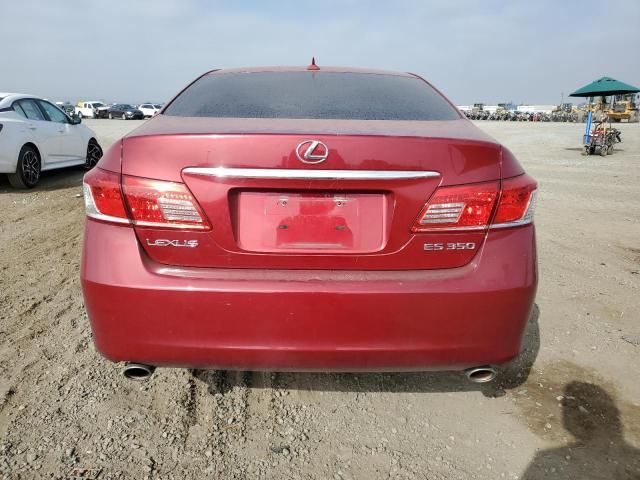 2010 Lexus ES 350