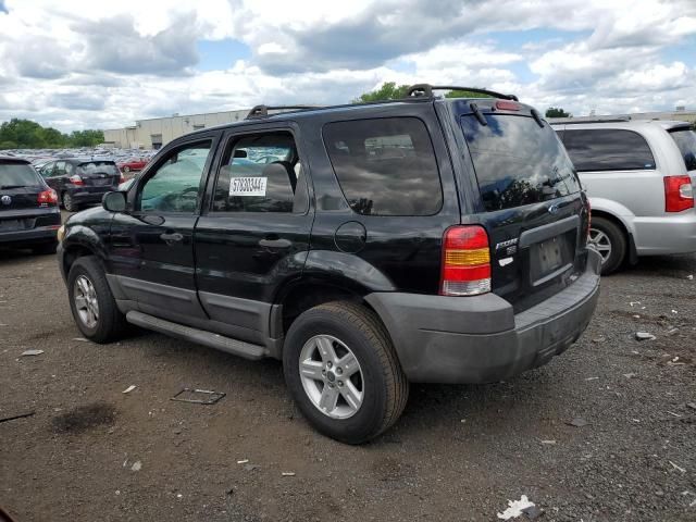 2007 Ford Escape XLT