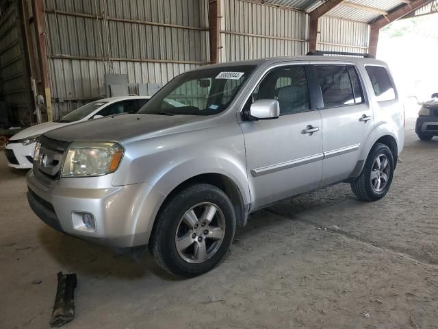 2010 Honda Pilot EXL