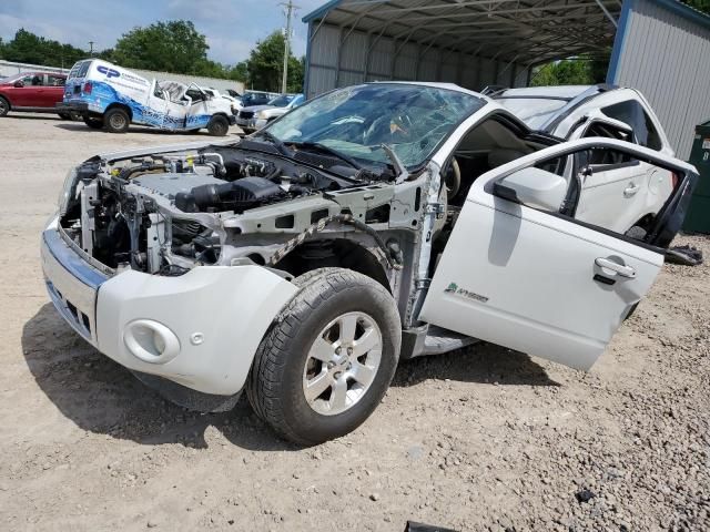 2011 Ford Escape Hybrid