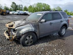 SUV salvage a la venta en subasta: 2008 Ford Escape XLT