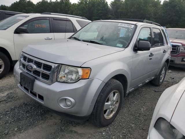 2010 Ford Escape XLT