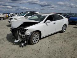 Lexus ES 350 salvage cars for sale: 2008 Lexus ES 350