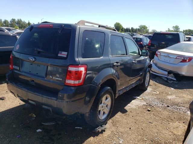 2010 Ford Escape Hybrid