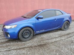 Salvage cars for sale from Copart London, ON: 2012 KIA Forte SX