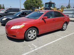 Vehiculos salvage en venta de Copart Rancho Cucamonga, CA: 2009 Toyota Camry Base