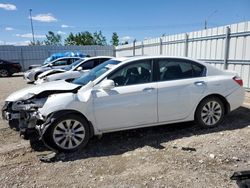 Vehiculos salvage en venta de Copart Nisku, AB: 2014 Honda Accord EXL