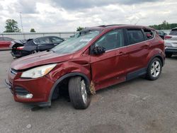 Ford salvage cars for sale: 2015 Ford Escape SE