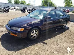 Salvage cars for sale at Elgin, IL auction: 1997 Honda Accord SE