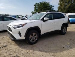 Toyota salvage cars for sale: 2023 Toyota Rav4 XLE