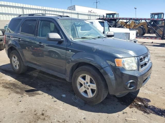 2008 Ford Escape HEV