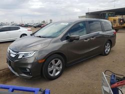 Salvage cars for sale at Brighton, CO auction: 2019 Honda Odyssey EXL