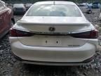 2024 Lexus ES 300H Base