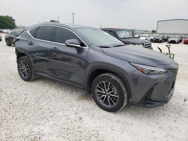 2024 Lexus NX 250 Premium