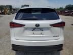 2019 Lexus NX 300 Base