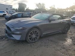 Salvage cars for sale from Copart Opa Locka, FL: 2022 Ford Mustang