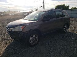 Honda cr-v lx Vehiculos salvage en venta: 2010 Honda CR-V LX