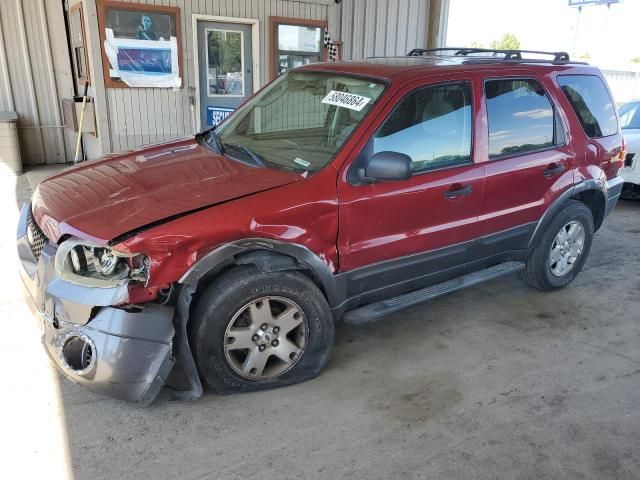 2006 Ford Escape XLT