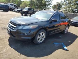 Salvage cars for sale at Denver, CO auction: 2010 Honda Accord Crosstour EXL