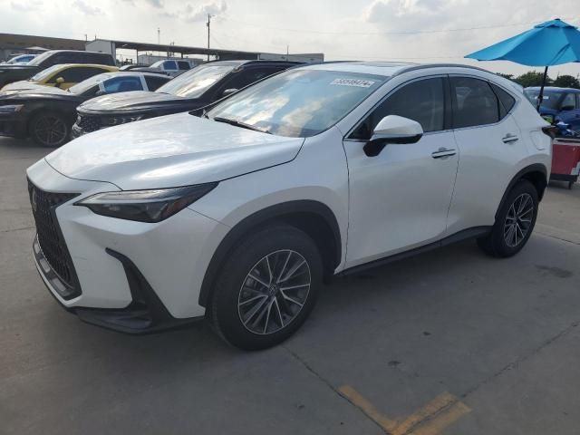 2024 Lexus NX 350H Base