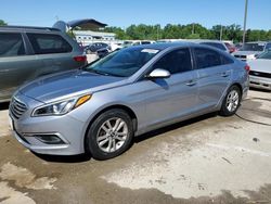 Salvage cars for sale at Louisville, KY auction: 2016 Hyundai Sonata SE