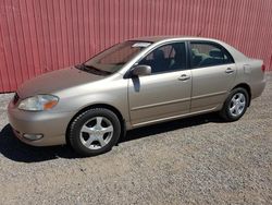 Salvage cars for sale at London, ON auction: 2008 Toyota Corolla CE