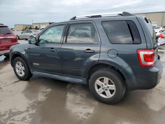 2008 Ford Escape HEV