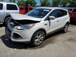 Salvage cars for sale at Bridgeton, MO auction: 2015 Ford Escape Titanium