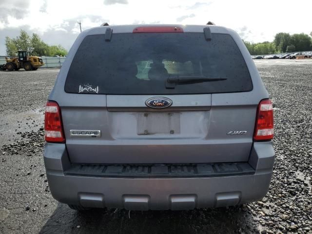 2008 Ford Escape XLT