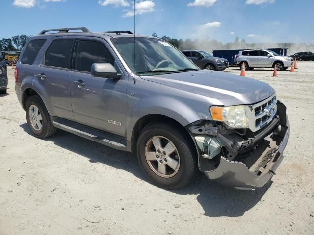 2008 Ford Escape XLT